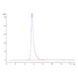 SEC-HPLC - Recombinant Human PD-L1 Protein (C-terminal Mouse Fc Tag) (A331155) - Antibodies.com