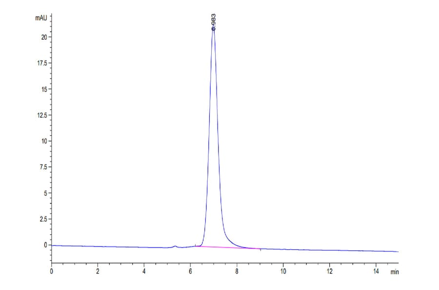 SEC-HPLC - Recombinant Human PD-L1 Protein (Biotin) (C-terminal His and Avi Tag) (A331158) - Antibodies.com