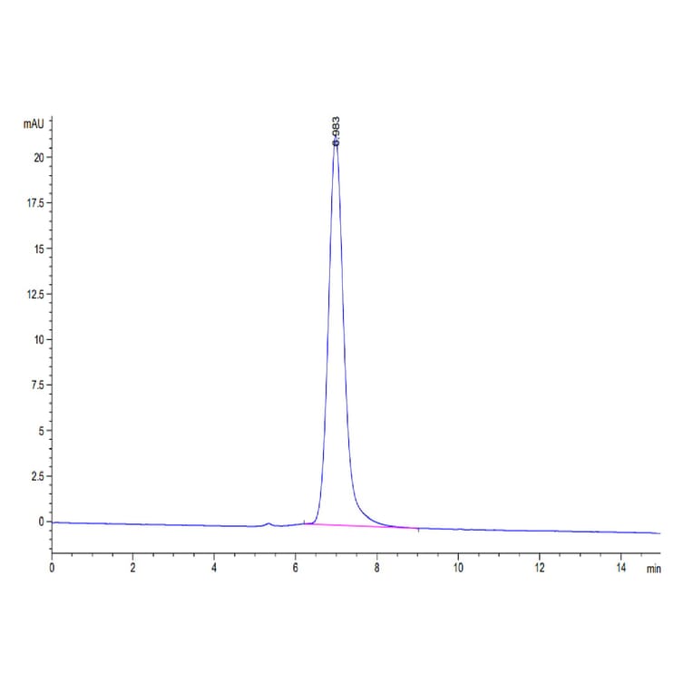 SEC-HPLC - Recombinant Human PD-L1 Protein (Biotin) (C-terminal His and Avi Tag) (A331158) - Antibodies.com
