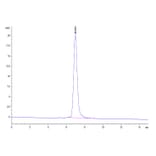 SEC-HPLC - Recombinant Human PD-L1 Protein (Biotin) (C-terminal His and Avi Tag) (A331158) - Antibodies.com