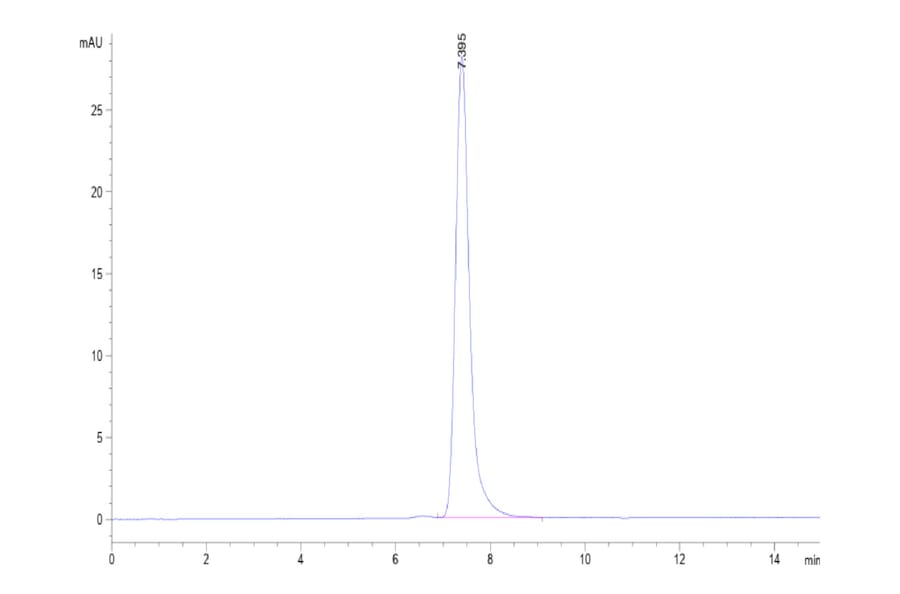 SEC-HPLC - Recombinant Human PD-L1 Protein (C-terminal Human Fc Tag) (A331159) - Antibodies.com