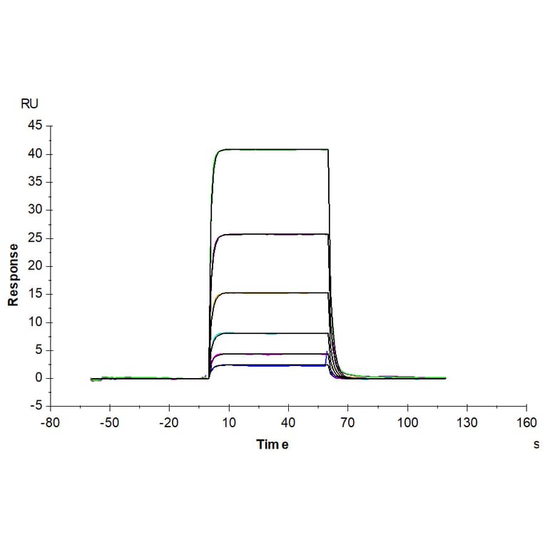 SPR Assay - Recombinant Human PD-L1 Protein (C-terminal Human Fc Tag) (A331159) - Antibodies.com