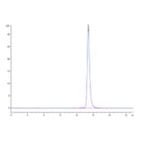 SEC-HPLC - Recombinant Human PD-L1 Protein (C-terminal His Tag) (A331160) - Antibodies.com