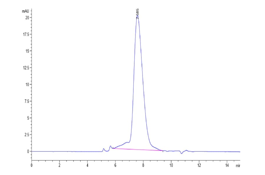 SEC-HPLC - Recombinant Human PD-L2 Protein (Biotin) (C-terminal His and Avi Tag) (A331163) - Antibodies.com