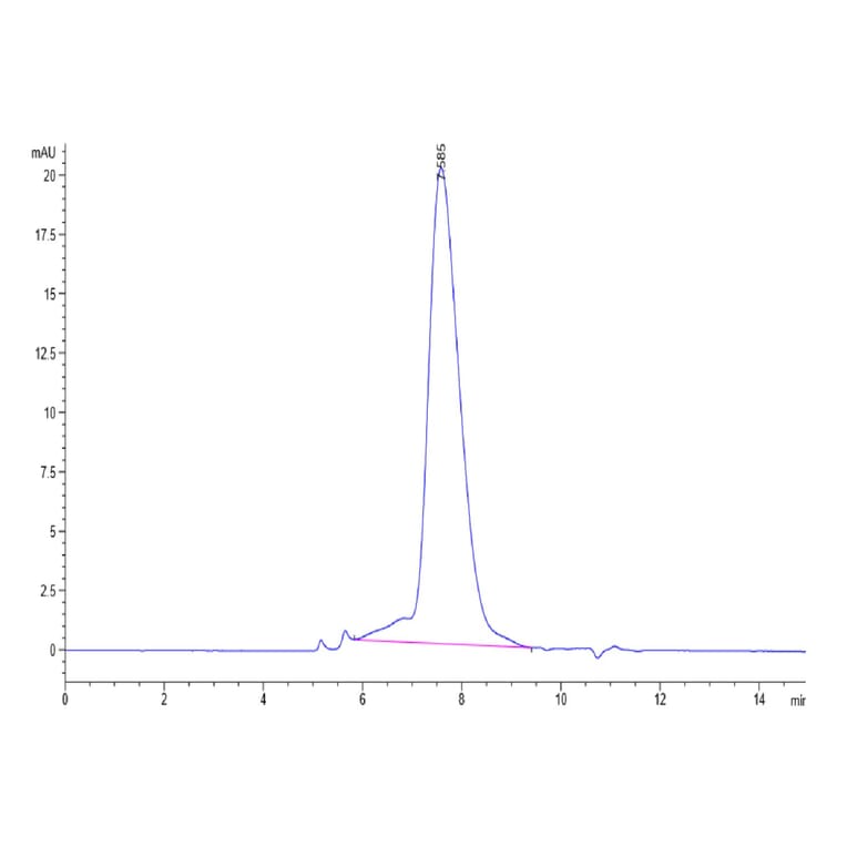 SEC-HPLC - Recombinant Human PD-L2 Protein (Biotin) (C-terminal His and Avi Tag) (A331163) - Antibodies.com
