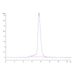SEC-HPLC - Recombinant Human PD-L2 Protein (Biotin) (C-terminal His and Avi Tag) (A331163) - Antibodies.com