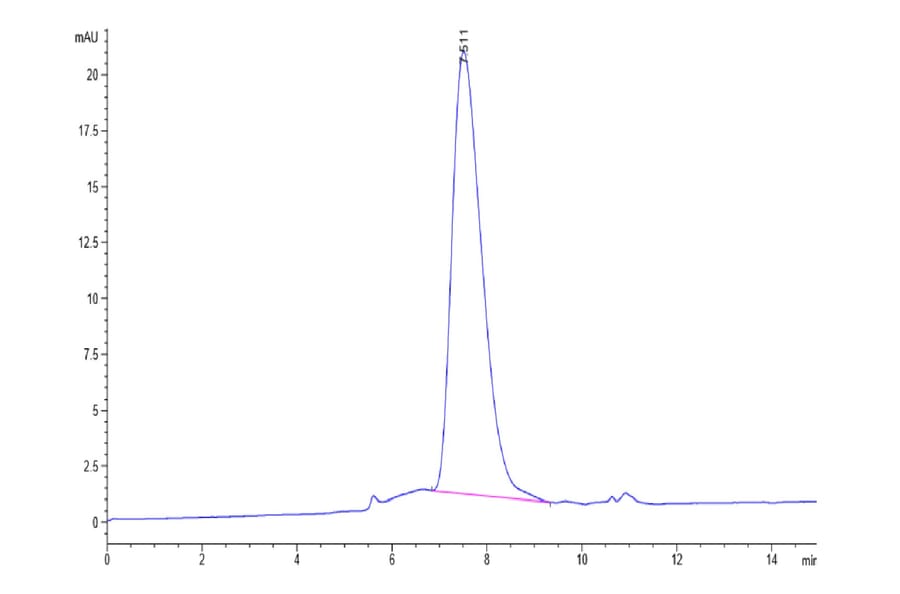 SEC-HPLC - Recombinant Human PD-L2 Protein (C-terminal His and Avi Tag) (A331164) - Antibodies.com