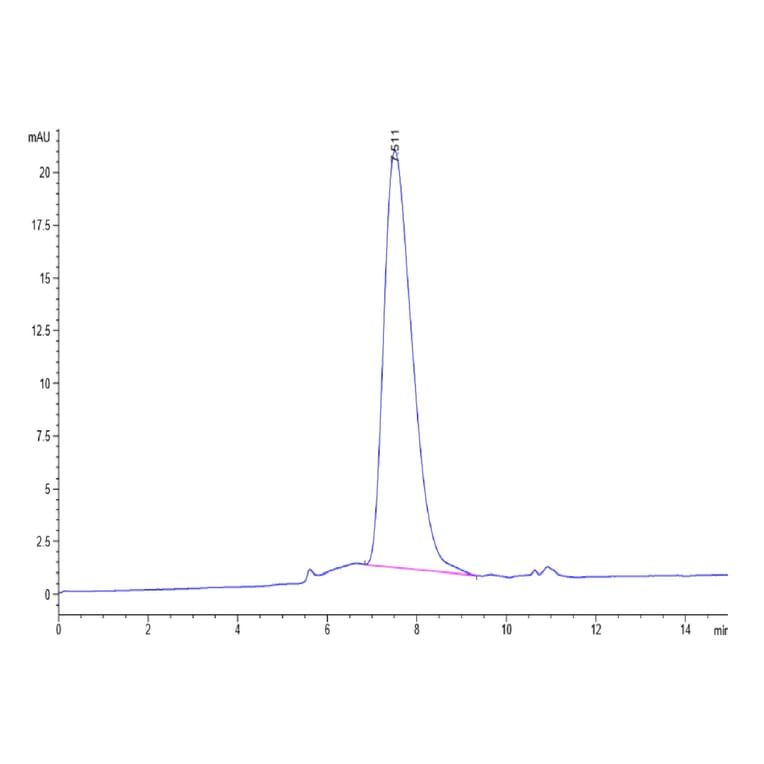 SEC-HPLC - Recombinant Human PD-L2 Protein (C-terminal His and Avi Tag) (A331164) - Antibodies.com