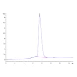 SEC-HPLC - Recombinant Human PD-L2 Protein (C-terminal His and Avi Tag) (A331164) - Antibodies.com