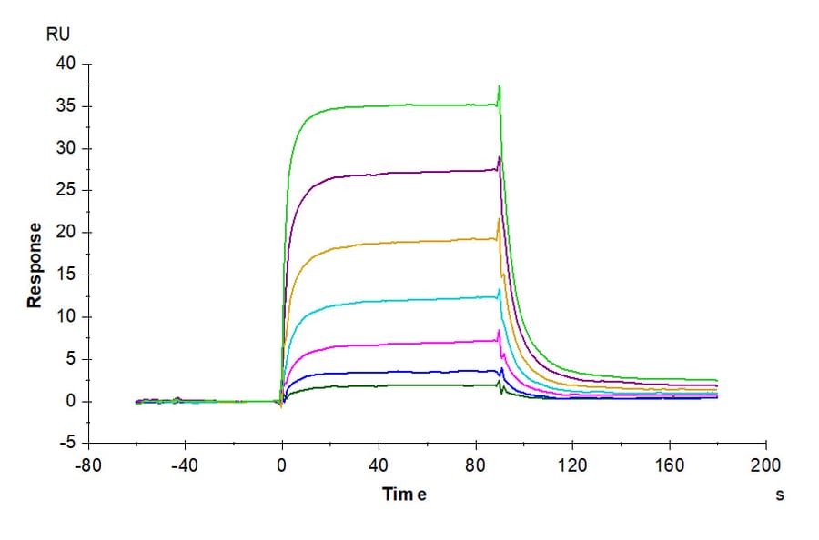 SPR Assay - Recombinant Human PD-L2 Protein (C-terminal His and Avi Tag) (A331164) - Antibodies.com