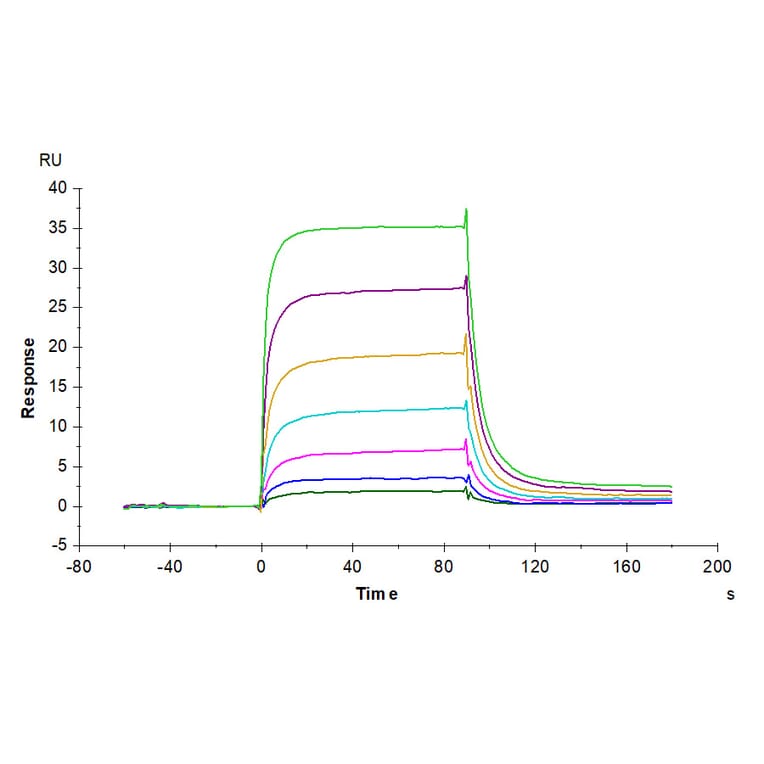 SPR Assay - Recombinant Human PD-L2 Protein (C-terminal His and Avi Tag) (A331164) - Antibodies.com