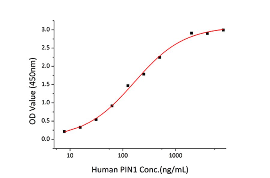 Standard Curve - Recombinant Human PIN1 Protein (A331175) - Antibodies.com
