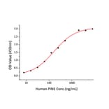 Standard Curve - Recombinant Human PIN1 Protein (A331175) - Antibodies.com