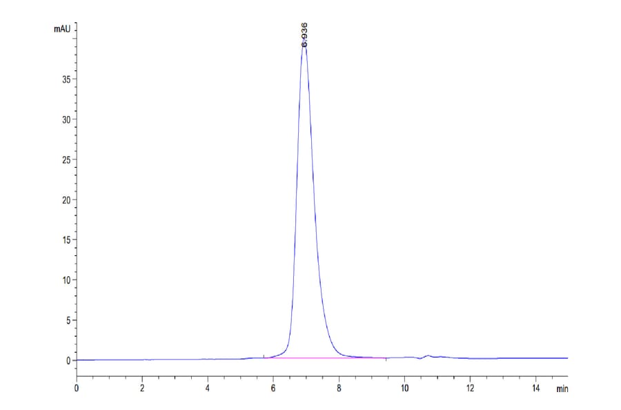SEC-HPLC - Recombinant Human Poliovirus Receptor/PVR Protein (Biotin) (C-terminal His and Avi Tag) (A331182) - Antibodies.com