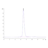 SEC-HPLC - Recombinant Human Poliovirus Receptor/PVR Protein (Biotin) (C-terminal His and Avi Tag) (A331182) - Antibodies.com