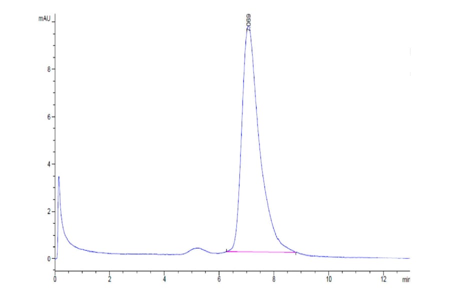 SEC-HPLC - Recombinant Human Poliovirus Receptor/PVR Protein (C-terminal His and Avi Tag) (A331183) - Antibodies.com