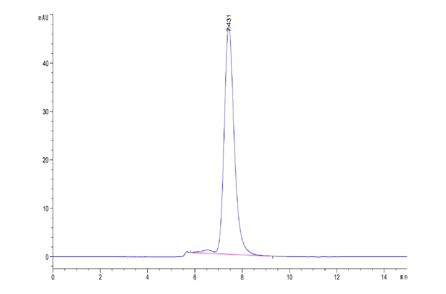 SEC-HPLC - Recombinant Human Poliovirus Receptor/PVR Protein (C-terminal Mouse Fc Tag) (A331184) - Antibodies.com