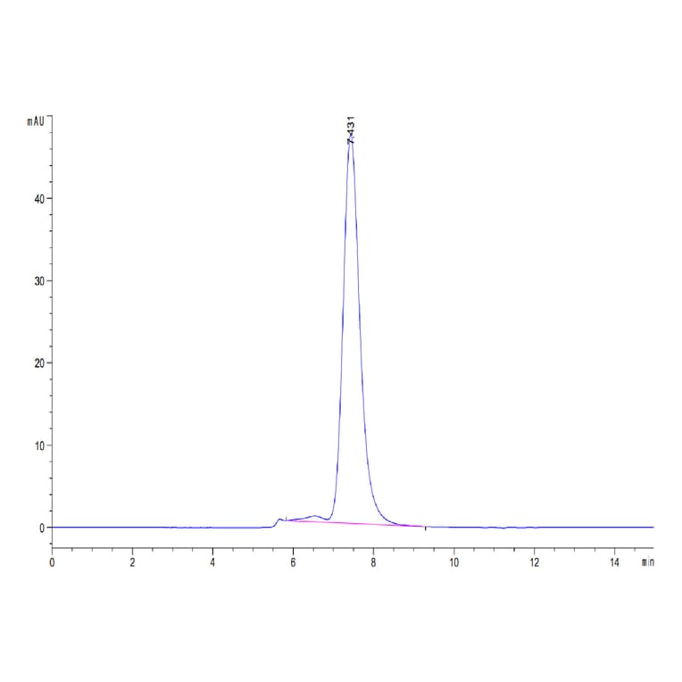 SEC-HPLC - Recombinant Human Poliovirus Receptor/PVR Protein (C-terminal Mouse Fc Tag) (A331184) - Antibodies.com
