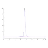 SEC-HPLC - Recombinant Human Poliovirus Receptor/PVR Protein (C-terminal Mouse Fc Tag) (A331184) - Antibodies.com