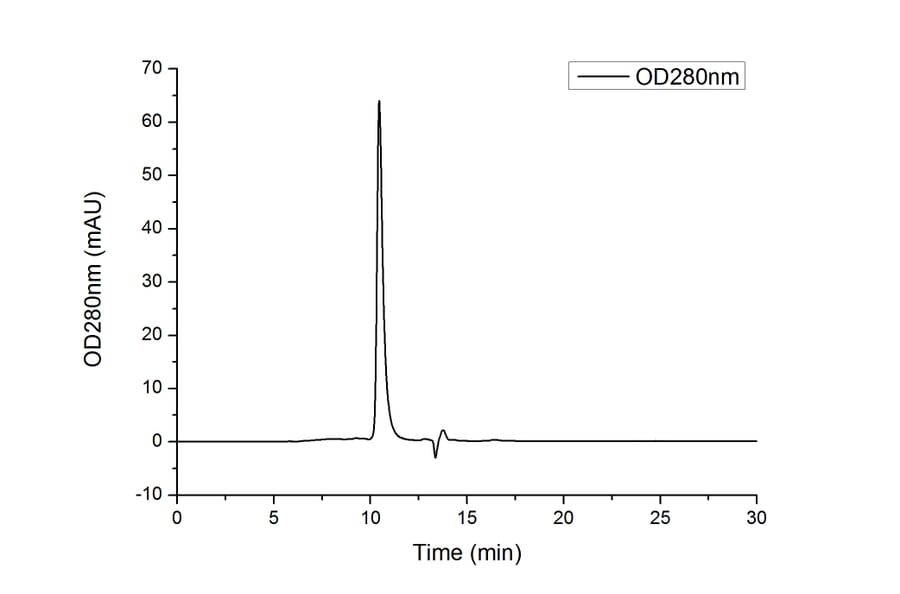 SEC-HPLC - Recombinant Human Prealbumin Protein (C-terminal His Tag) (A331187) - Antibodies.com