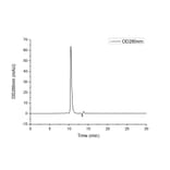 SEC-HPLC - Recombinant Human Prealbumin Protein (C-terminal His Tag) (A331187) - Antibodies.com