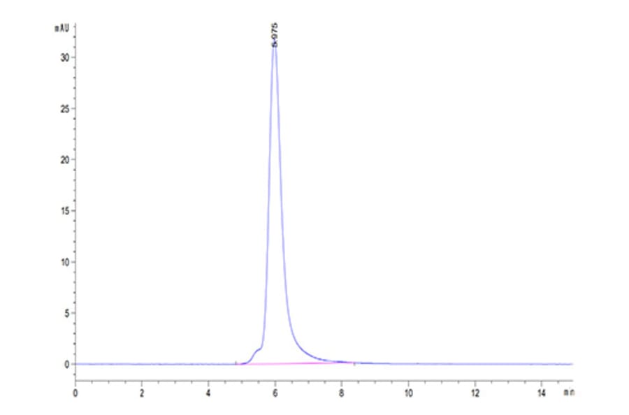 SEC-HPLC - Recombinant Human PSMA Protein (N-terminal Human Fc Tag) (A331194) - Antibodies.com