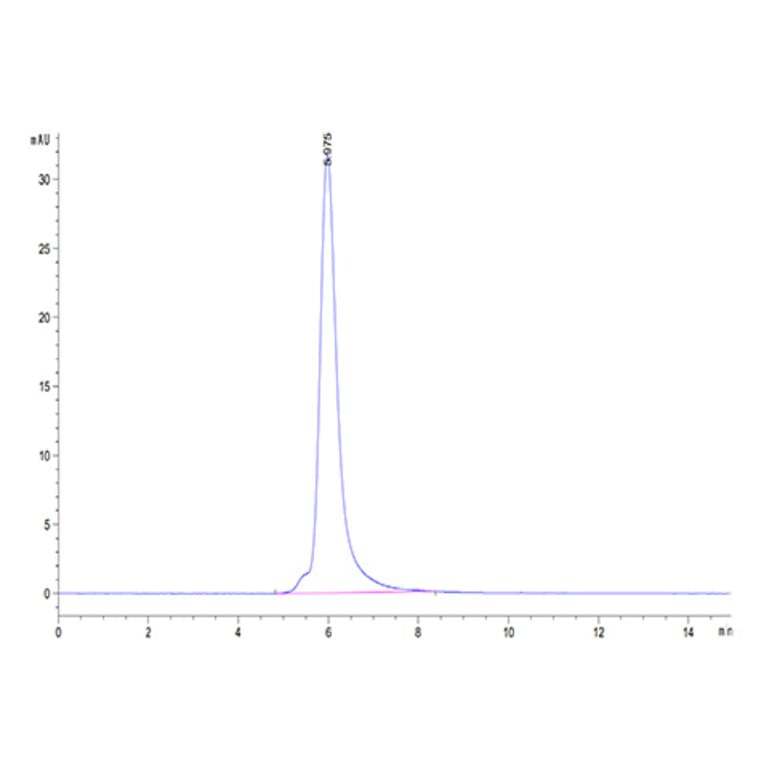 SEC-HPLC - Recombinant Human PSMA Protein (N-terminal Human Fc Tag) (A331194) - Antibodies.com