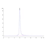 SEC-HPLC - Recombinant Human PSMA Protein (N-terminal Human Fc Tag) (A331194) - Antibodies.com