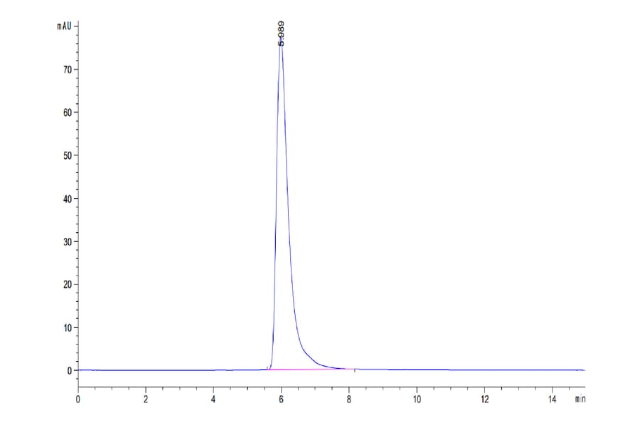 SEC-HPLC - Recombinant Human PSMA Protein (N-terminal Human Fc Tag) (A331195) - Antibodies.com