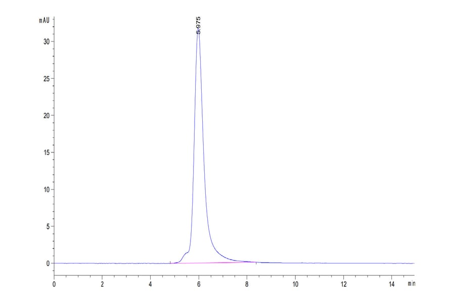 SEC-HPLC - Recombinant Human PSMA Protein (N-terminal His Tag) (A331196) - Antibodies.com