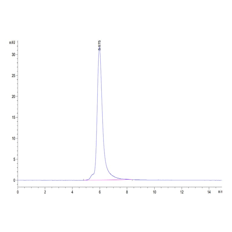SEC-HPLC - Recombinant Human PSMA Protein (N-terminal His Tag) (A331196) - Antibodies.com