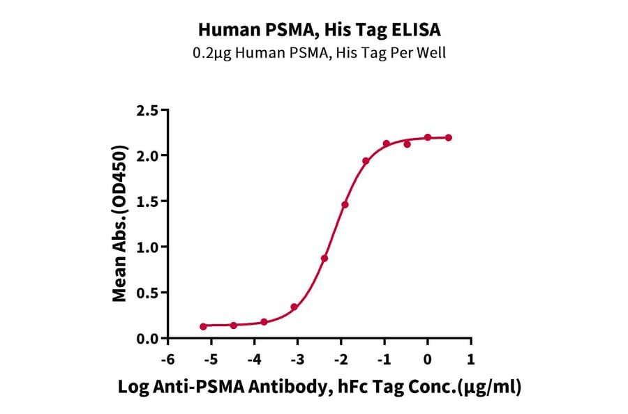 Standard Curve - Recombinant Human PSMA Protein (N-terminal His Tag) (A331196) - Antibodies.com