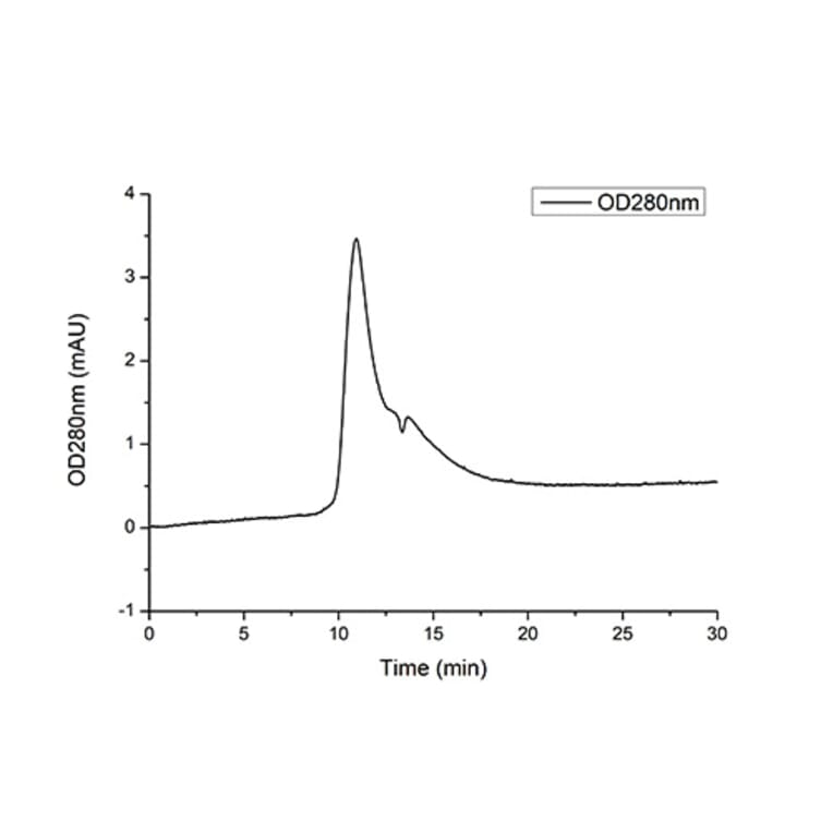 SEC-HPLC - Recombinant Human PTH1R Protein (C-terminal His Tag) (A331197) - Antibodies.com
