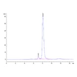 SEC-HPLC - Recombinant Cynomolgus macaque PVRIG Protein (C-terminal Human Fc Tag) (A331198) - Antibodies.com