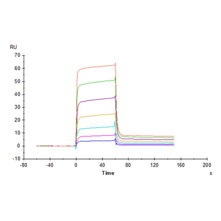SPR Assay - Recombinant Cynomolgus macaque PVRIG Protein (C-terminal Human Fc Tag) (A331198) - Antibodies.com
