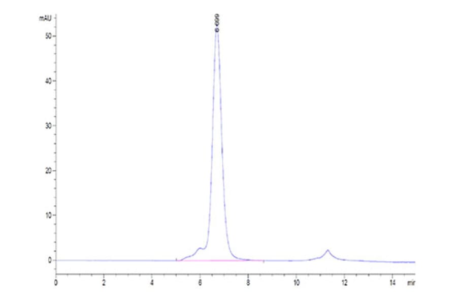 SEC-HPLC - Recombinant Human PVRIG Protein (C-terminal Mouse Fc Tag) (A331199) - Antibodies.com
