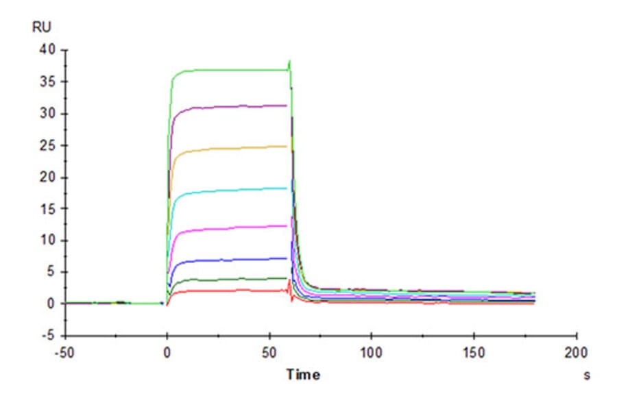 SPR Assay - Recombinant Human PVRIG Protein (C-terminal Mouse Fc Tag) (A331199) - Antibodies.com