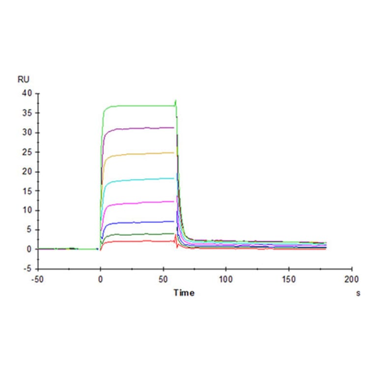 SPR Assay - Recombinant Human PVRIG Protein (C-terminal Mouse Fc Tag) (A331199) - Antibodies.com