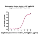 Standard Curve - Recombinant Human PVRL1 Protein (Biotin) (C-terminal His and Avi Tag) (A331202) - Antibodies.com