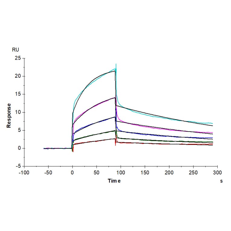 SPR Assay - Recombinant Human PVRL1 Protein (Biotin) (C-terminal His and Avi Tag) (A331202) - Antibodies.com