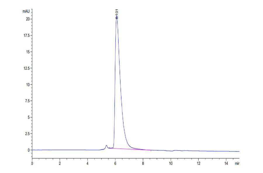SEC-HPLC - Recombinant Human PVRL1 Protein (C-terminal His and Avi Tag) (A331203) - Antibodies.com
