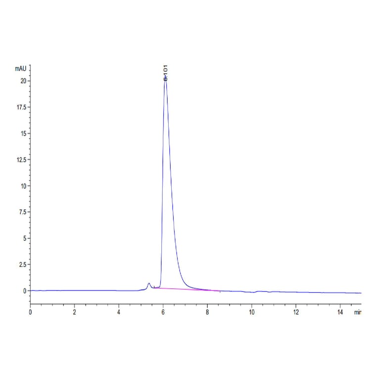 SEC-HPLC - Recombinant Human PVRL1 Protein (C-terminal His and Avi Tag) (A331203) - Antibodies.com