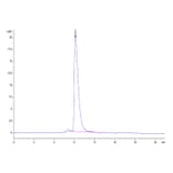 SEC-HPLC - Recombinant Human PVRL1 Protein (C-terminal His and Avi Tag) (A331203) - Antibodies.com