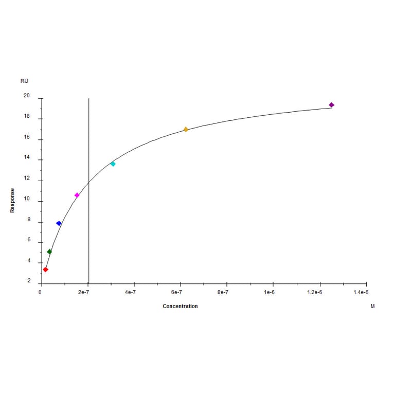 SPR Assay - Recombinant Human PVRL1 Protein (C-terminal His and Avi Tag) (A331203) - Antibodies.com