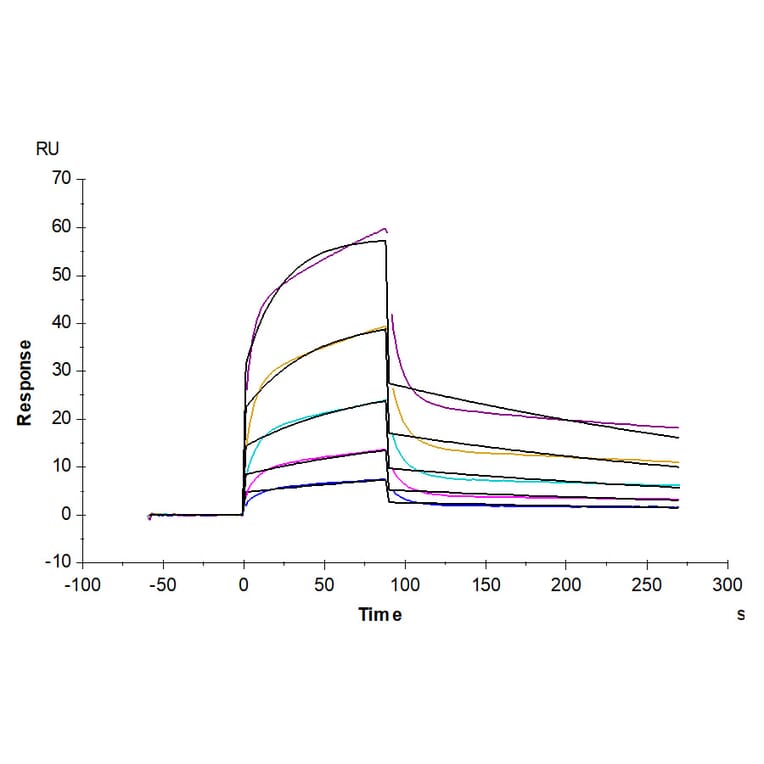 SPR Assay - Recombinant Human PVRL1 Protein (C-terminal His and Avi Tag) (A331203) - Antibodies.com