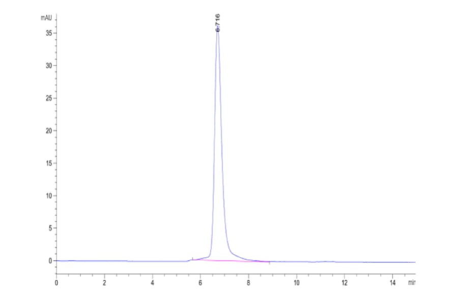 SEC-HPLC - Recombinant Human PVRL1 Protein (C-terminal Human Fc Tag) (A331204) - Antibodies.com