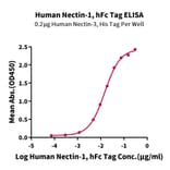 Standard Curve - Recombinant Human PVRL1 Protein (C-terminal Human Fc Tag) (A331204) - Antibodies.com
