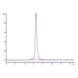 SEC-HPLC - Recombinant Human PVRL4 Protein (C-terminal Human Fc Tag) (A331206) - Antibodies.com
