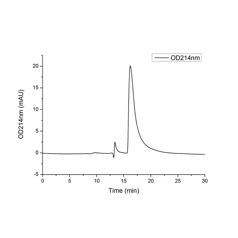 SEC-HPLC - Recombinant Human RANKL Protein (N-terminal His Tag) (A331210) - Antibodies.com