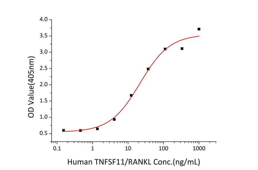 ICC - Recombinant Human RANKL Protein (N-terminal His Tag) (A331210) - Antibodies.com